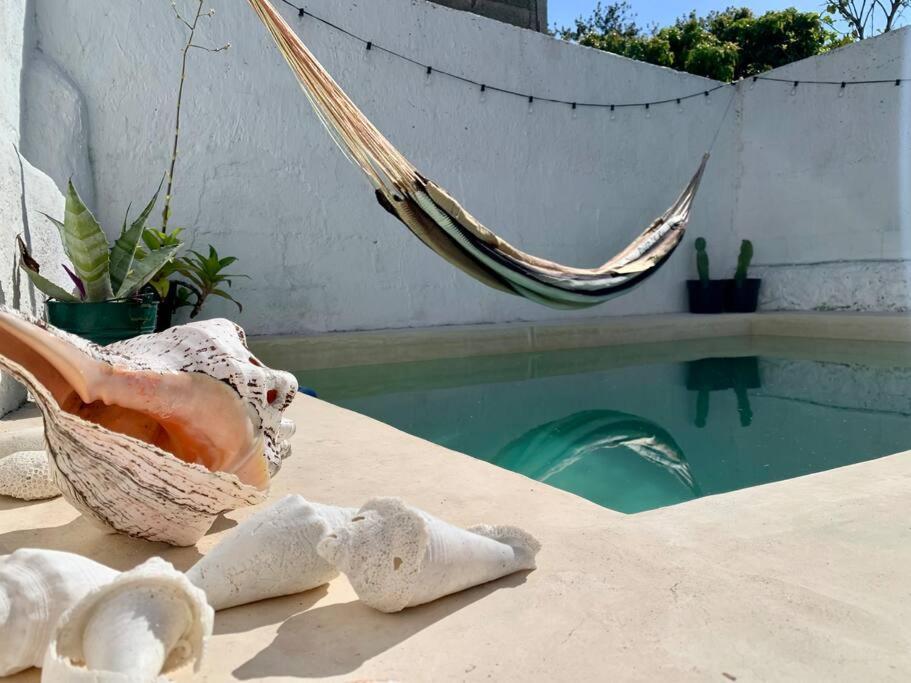 Casita Azul Colonial En El Centro De Merida. 외부 사진
