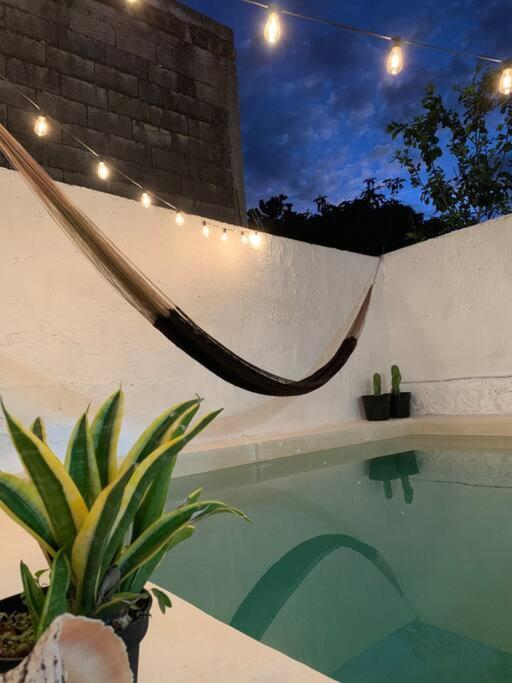 Casita Azul Colonial En El Centro De Merida. 외부 사진