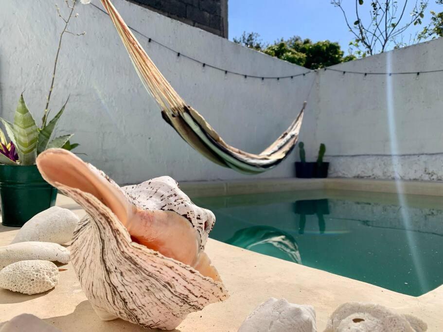 Casita Azul Colonial En El Centro De Merida. 외부 사진