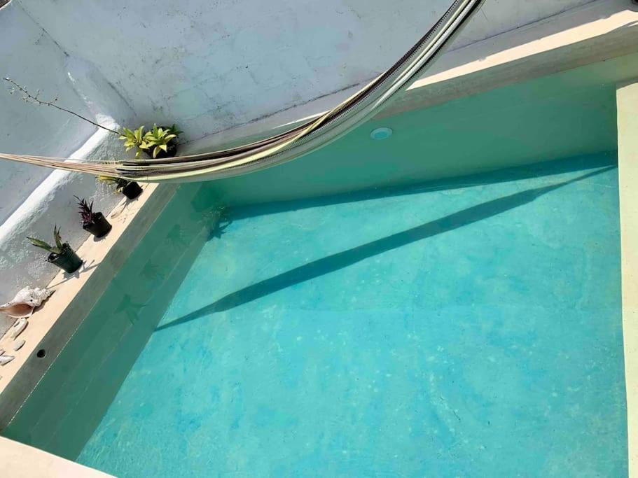 Casita Azul Colonial En El Centro De Merida. 외부 사진