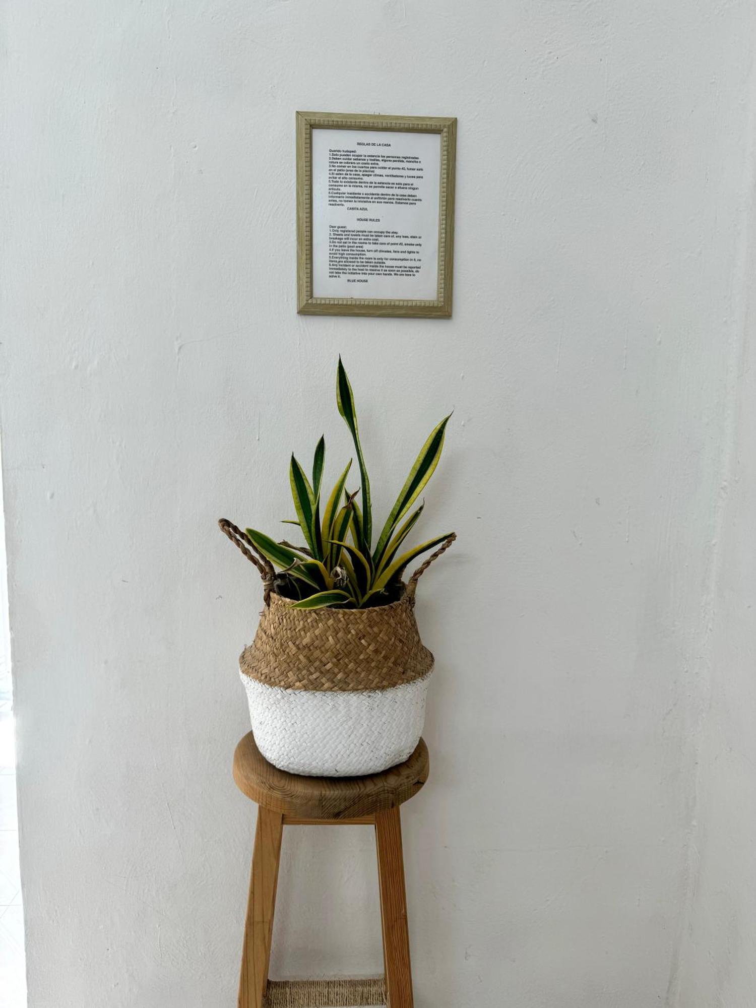 Casita Azul Colonial En El Centro De Merida. 외부 사진